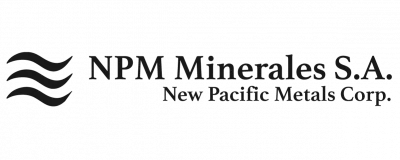 NPM Minerales